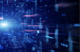 Vantage Point Services