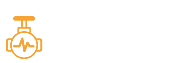 Industry Experience WithValve Health & Performance