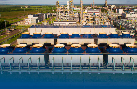 Agricultural Fertilizer